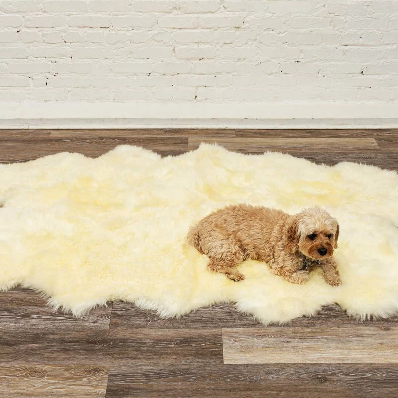 Outlet π₯ Natural 100% New Zealand Sheepskin Four Rug, 3'3/4"x6' Natural β - Image 11