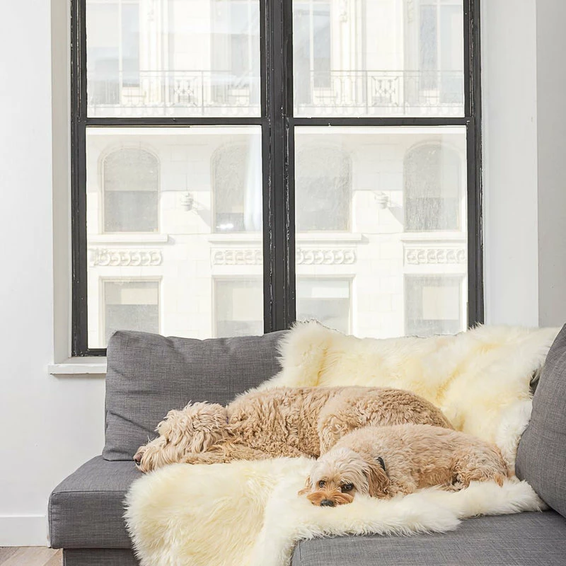 Outlet π₯ Natural 100% New Zealand Sheepskin Four Rug, 3'3/4"x6' Natural β - Image 10