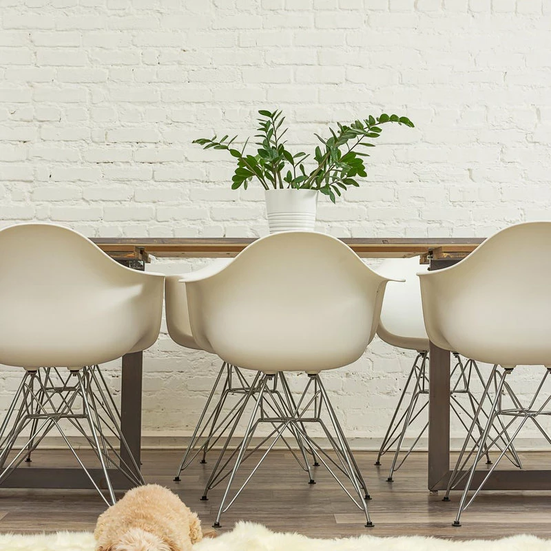 Coupon π Natural 100% New Zealand Sheepskin Double, 2'x6', Natural β - Image 11