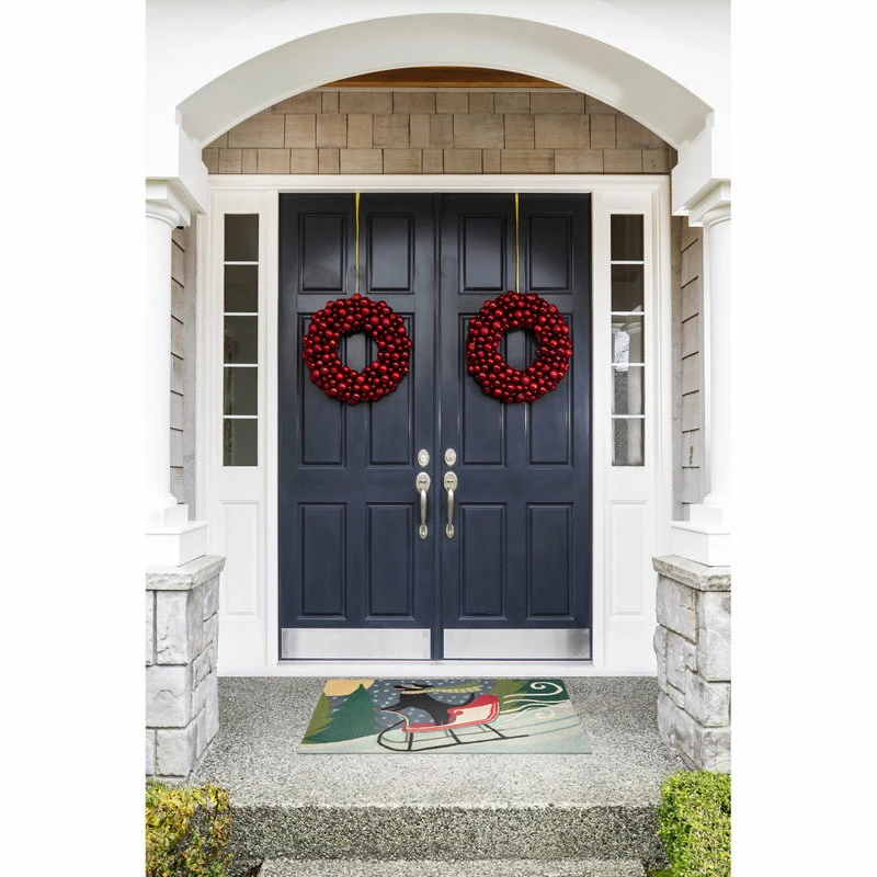 Brand new β Liora Manne Frontporch Sledding π Dog Indoor/Outdoor Rug Multi 2'6x4' π - Image 4