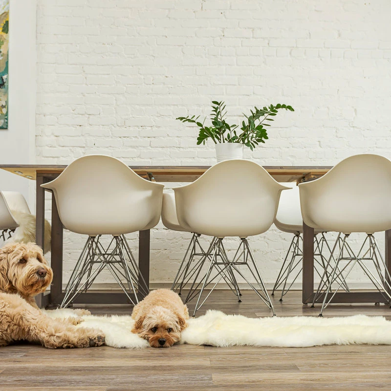 Coupon π Natural 100% New Zealand Sheepskin Double, 2'x6', Natural β